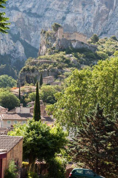 Bed and Breakfast La Figuiere Fontaine De Vaucluse Esterno foto