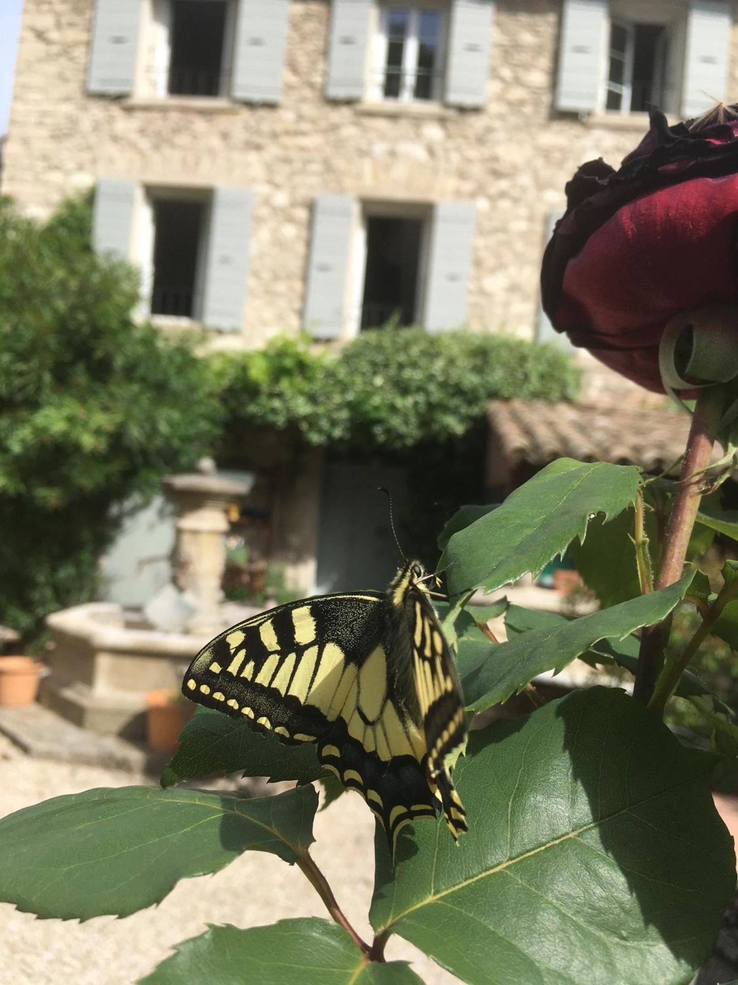 Bed and Breakfast La Figuiere Fontaine De Vaucluse Esterno foto